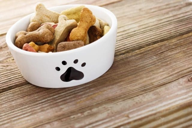 3 harmful ingredients in dog food